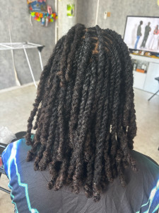 Photo de galerie - Retwist et coiffure 