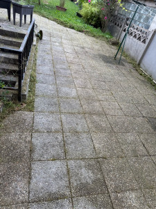 Photo de galerie - Paysagiste