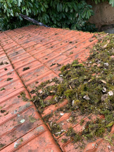 Photo de galerie - Grattage des mousses plus traitement et hydrofuge 