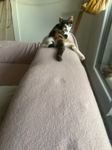 Photo de galerie - Petite pause pour ma petite Alba 