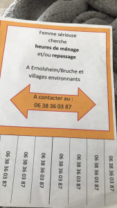 Photo de galerie - 15 ans expérience 