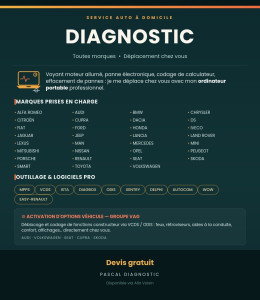 Photo de galerie - Passage à la valise de diagnostic