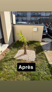 Photo de galerie - Après création massif-plantation