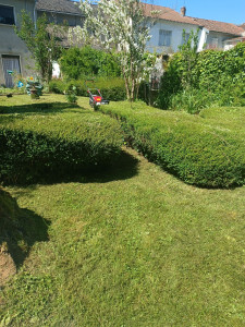 Photo de galerie - Entretien propre et efficace 