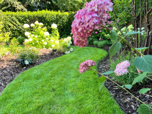 Photo de galerie - Paysagiste - Aménagement du jardin