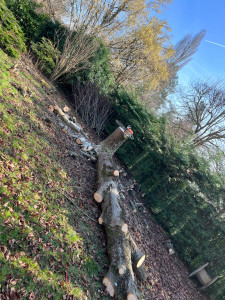 Photo de galerie - Artisan d'art