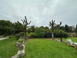 Photo de galerie - Taille de tilleul 