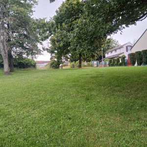 Photo de galerie - Photos avant tonte des pelouses 