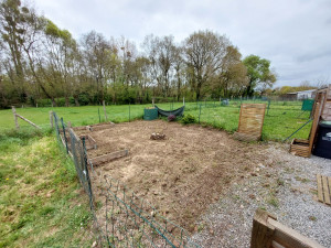 Photo de galerie - Reprise d'un petit carré de jardin pour nivellement et semis de gazon. Depierrage et mise en valeur des plantes conservées. 