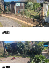 Photo de galerie - Entretien de haie 