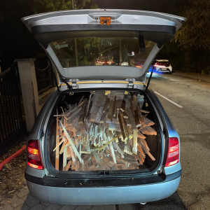 Photo de galerie - Bois