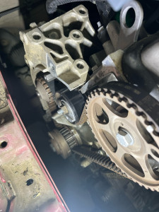 Photo de galerie - Distribution 