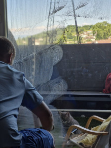 Photo de galerie - Nettoyage de vitre