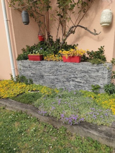 Photo de galerie - Création jardinières et massifs fleuris