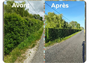 Photo de galerie - Taille de haie 