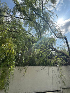 Photo de galerie - La tempête du 25 juin a causé des dégâts.