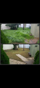 Photo de galerie - Avant/Apres Jardin 