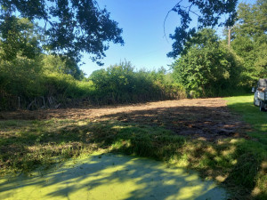 Photo de galerie - Nettoyage et débroussaillage d'une parcelle