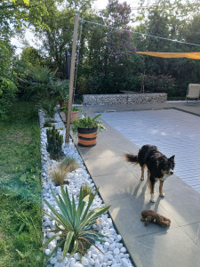 Photo de galerie - Paysagiste - Aménagement du jardin