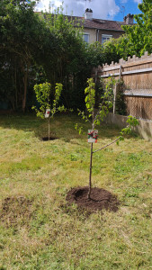 Photo de galerie - Paysagiste - Aménagement du jardin