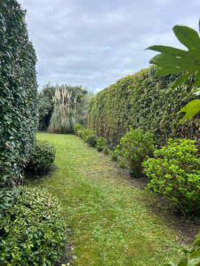 Photo de galerie - Entretien mensuel 