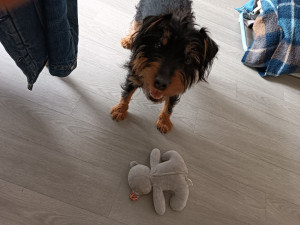 Photo de galerie - 2024 Lolli