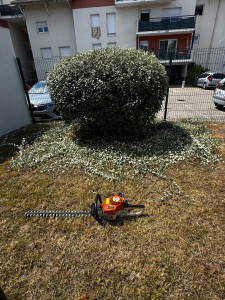 Photo de galerie - Taille 