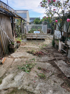 Photo de galerie - Tonte de pelouse - Débroussaillage