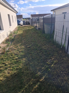 Photo de galerie - Premier passage de tonte . 