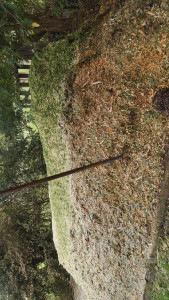 Photo de galerie - Broyage de déchets vert