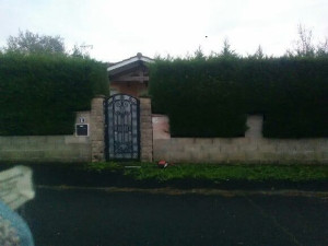 Photo de galerie - Paysagiste - Aménagement du jardin