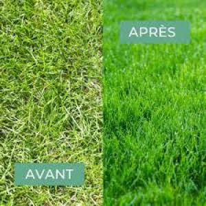 Photo de galerie - Voici un avant et après d’une tonte de pelouse 