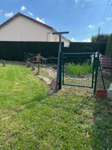 Photo de galerie - Tonte de pelouse