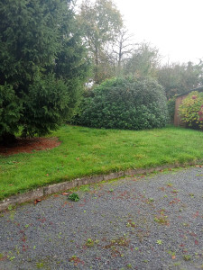 Photo de galerie - Et voilà la finition avec la pelouse et les arbres