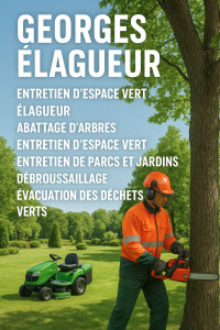 Photo de galerie - Paysagiste - Aménagement du jardin