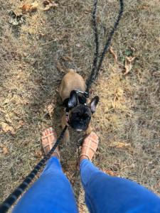 Photo de galerie - Garde bébé Avril