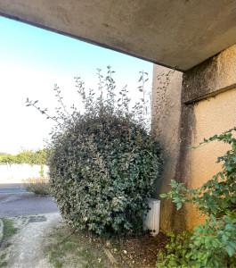 Photo de galerie - Jardinier