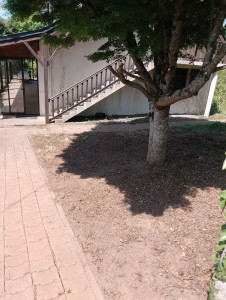 Photo de galerie - Jardinier