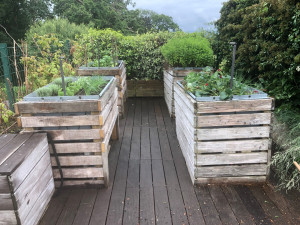 Photo de galerie - Installation de tous types de potagers