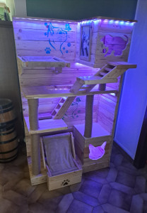 Photo de galerie - Garde chat