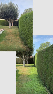 Photo de galerie - Jardin / Espace vert