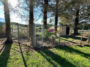 Photo de galerie - Garde animaux