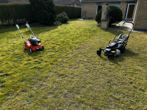 Photo de galerie - Tonte de pelouse - Débroussaillage