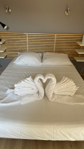 Photo de galerie - Ménage