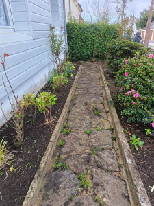 Photo de galerie - Nettoyage de parterre 