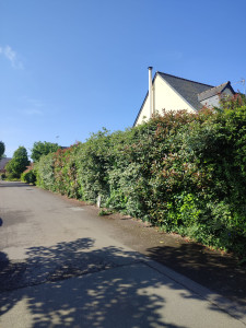 Photo de galerie - Avant (3)