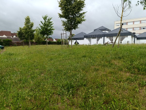 Photo de galerie - Avant 