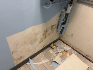 Photo de galerie - Peinture / Enduit