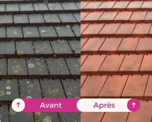 Photo de galerie - Nettoyage