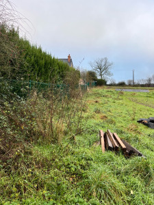 Photo de galerie - Tonte de pelouse - Débroussaillage